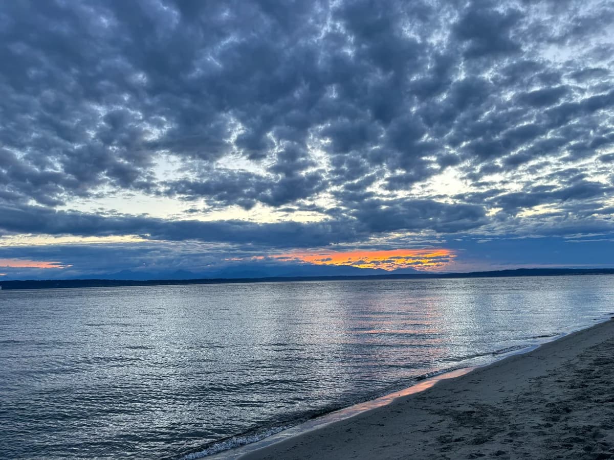golden gardens